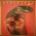 Blackfoot (3) - Strikes - LP