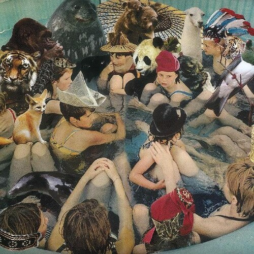 Panda Bear PERSON PITCH New Sealed Black Vinyl Record 2 LP
