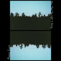 Maggie Rogers NOW THAT THE LIGHT IS FADING Capitol Records NEW VINYL 10" EP